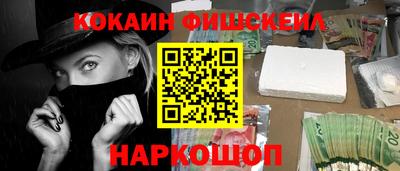 крисы Можга