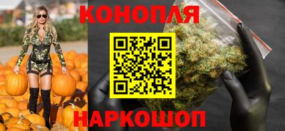 стаф Моздок
