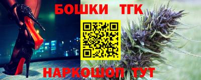 крисы Можга