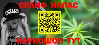 крисы Можга
