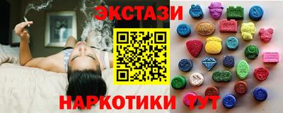 крисы Можга