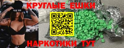 крисы Можга