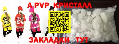крисы Можга