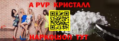 крисы Можга
