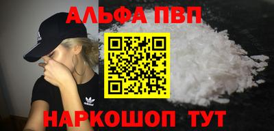 крисы Можга
