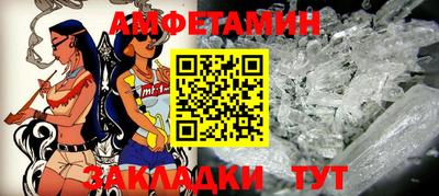 крисы Можга