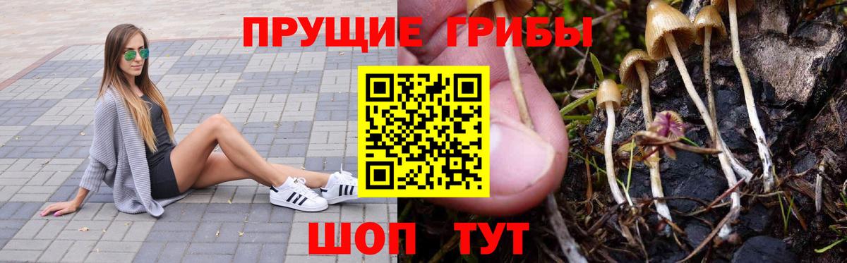 Псилоцибиновые грибы Magic Shrooms Славгород